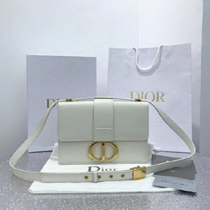 DIOR 디올 써티 몽테인백 E68898 화이트