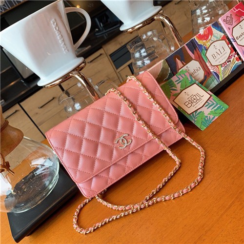 CHANEL 샤넬 WOC 19CM 신상 AS3991-3