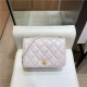 CHANEL 샤넬 플랩 숄더백 AS8869 신상