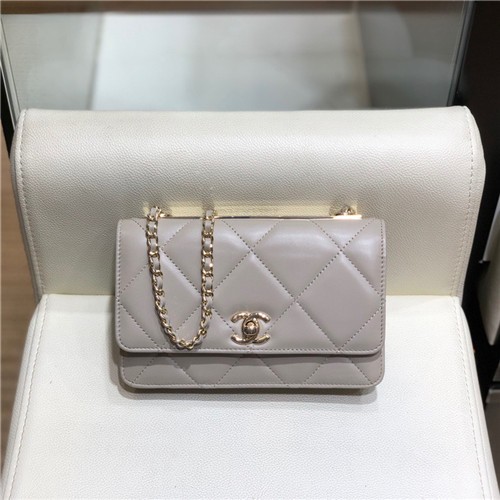CHANEL 샤넬 WOC 19CM AS5005 신상
