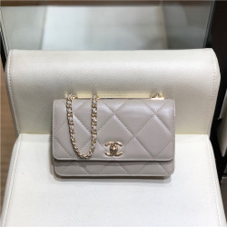 CHANEL 샤넬 WOC 19CM AS5005 신상