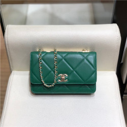 CHANEL 샤넬 WOC 19CM AS5005 신상