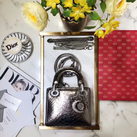 DIOR 디올 메탈릭 뱀가죽 미니 17CM