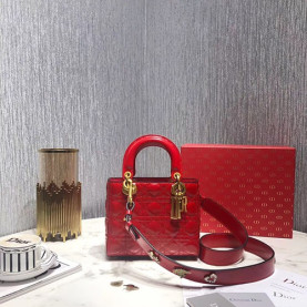 DIOR 디올 레이디백 20CM D38609-16