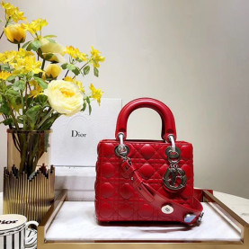 DIOR 디올 레이디백 20CM D38609-10