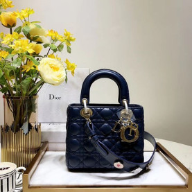 DIOR 디올 레이디백 20CM D38609-7
