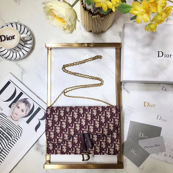 DIOR 디올 오블리크 체인클러치  M9030 22CM