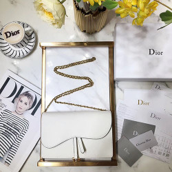 DIOR 디올 새들 체인클러치  M9012 22CM