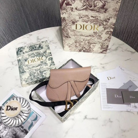 DIOR 디올 미니 새들백 D74800