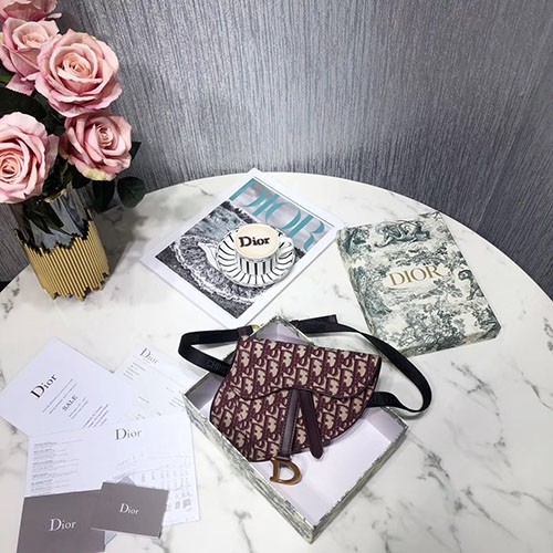 DIOR 디올 오블리크 미니 새들백 신상 D74800