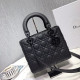 DIOR 디올 레이디 신상 24CM D80892
