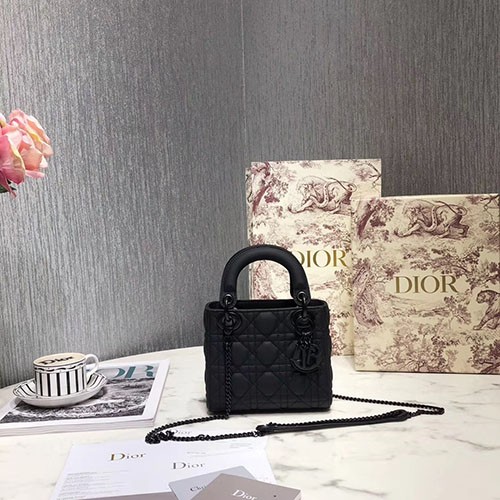 DIOR 디올 레이디 신상 17CM D80891