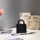 DIOR 디올 레이디 신상 17CM D80891