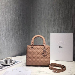 DIOR 디올 레이디신상 24CM D80891