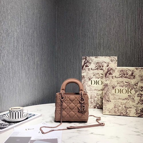 DIOR 디올 레이디 신상 17CM D80891