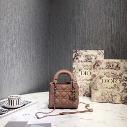 DIOR 디올 레이디 신상 17CM D80891