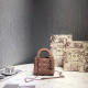DIOR 디올 레이디 신상 17CM D80891