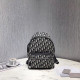 DIOR 디올 오블리크 백팩 /신상 D31225
