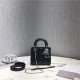DIOR 디올 레이디백 미니 신상 D3307-6