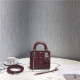 DIOR 디올 레이디백 미니 신상 D3307-3