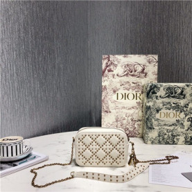 DIOR 디올 레이디 카메라백