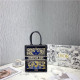 DIOR 디올 미니 북 토트백 D68810-1 신상