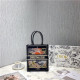 DIOR 디올 미니 북 토트백 D68810-4신상