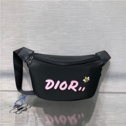 DIOR 디올&카우스 콜라보 힙색 D0310-1 신상