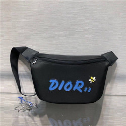 DIOR 디올&카우스 콜라보 힙색 D0310-2 신상