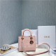 DIOR 디올 레이디 자수백 D22590-2 2020/신상