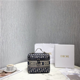DIOR 디올 오블리크 파우치 D20988