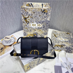 DIOR 디올 써티 몽테인백 D89203-4 2020/신상