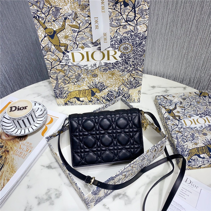 DIOR 디올 레이디 핸드&크로스백 D08550