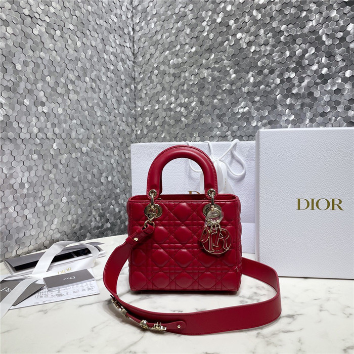 DIOR 디올 레이디 백 마이 에이비씨디올 M0538