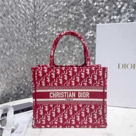 DIOR 디올 오블리크 북토트백 스몰 M928 2COLOR