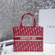 DIOR 디올 오블리크 북토트백 스몰 M928