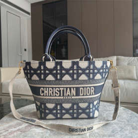 DIOR 디올 오블리크 버킷백 D3530