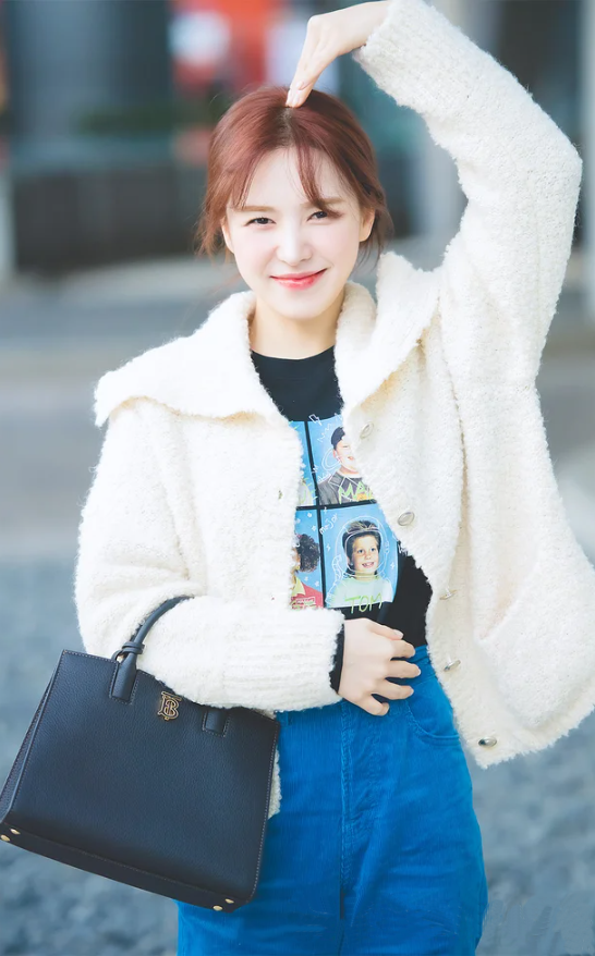  [레드벨벳 웬디] BURBERRY 버버리 스몰 프란시스 백