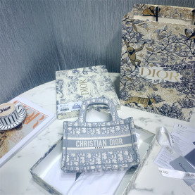 DIOR 디올 미니 북 토트백 M113865