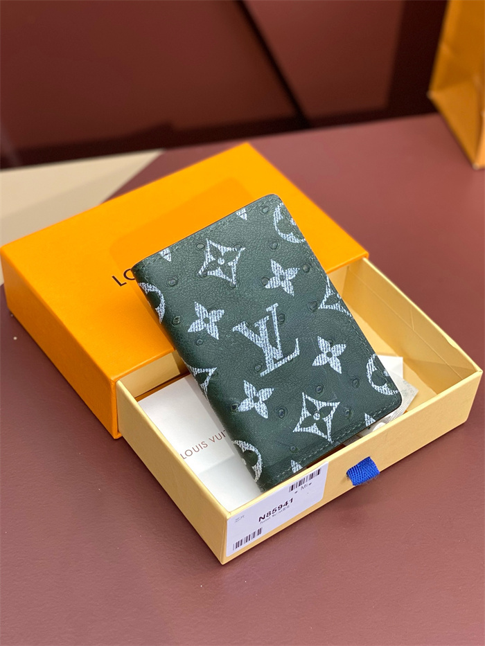 LOUIS VUITTON 루이비통 카드/명함지갑 N85941 2024/신상